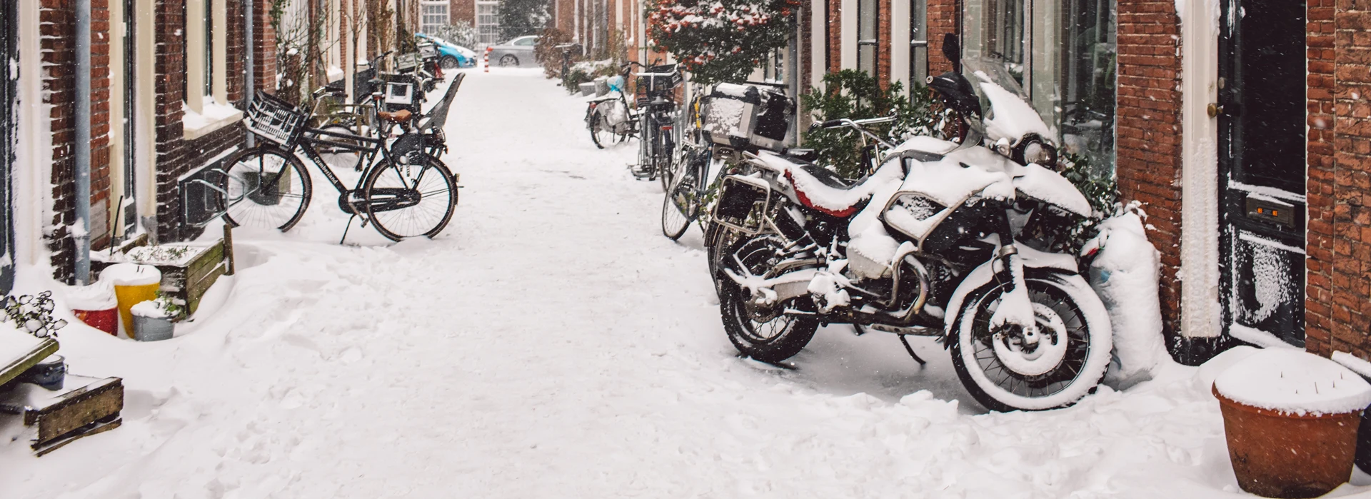 What To Do Over Winter image
